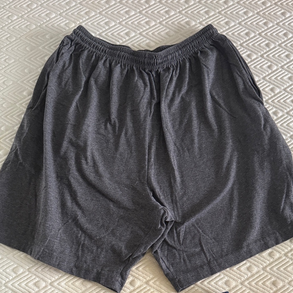Hanes Men's Charcoal and Navy blue Athletic Shorts